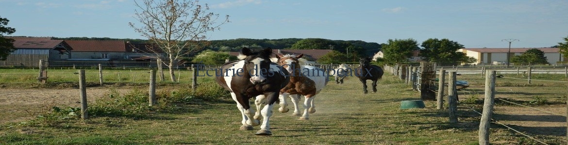 Écurie des Champeaux